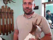 Оцена трофеја 2014.године