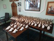 Оцена трофеја 2014.године