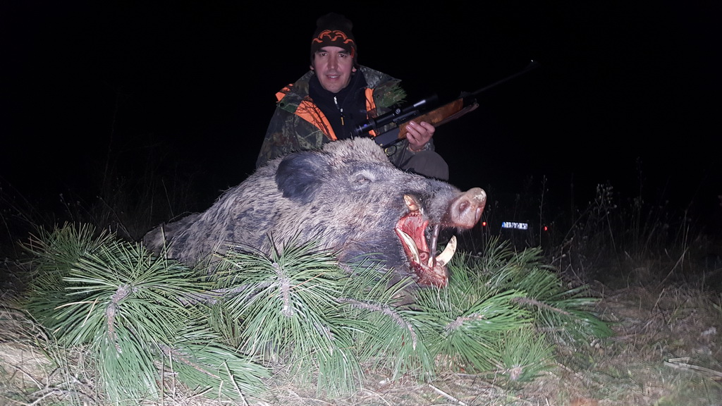Lov divlje svinje 1. januar 2018. godine