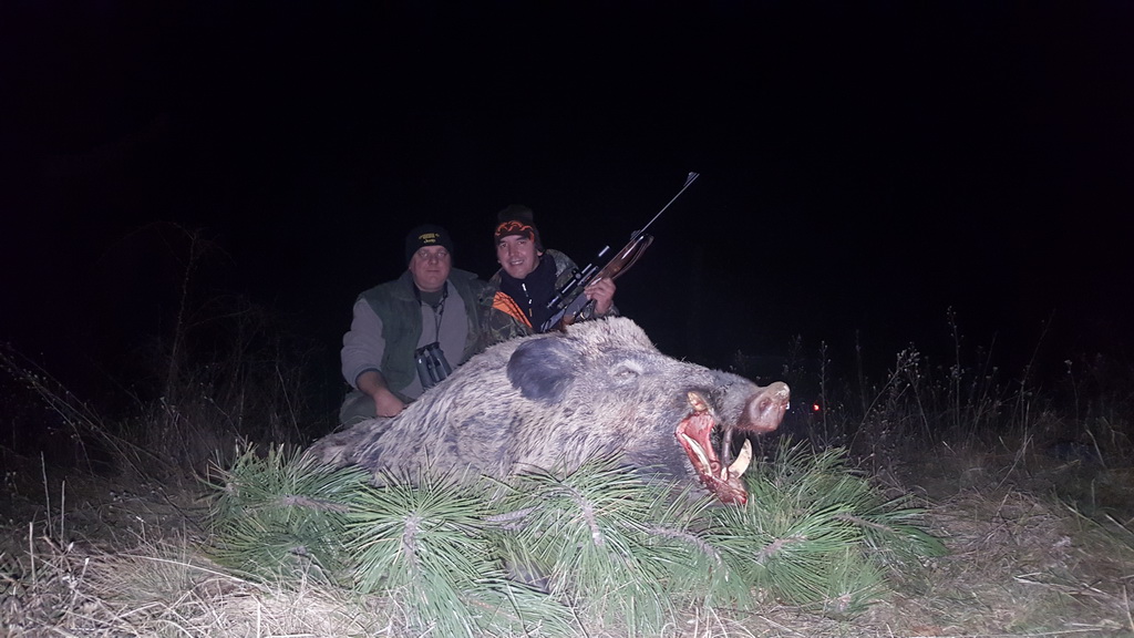 Lov divlje svinje 1. januar 2018. godine