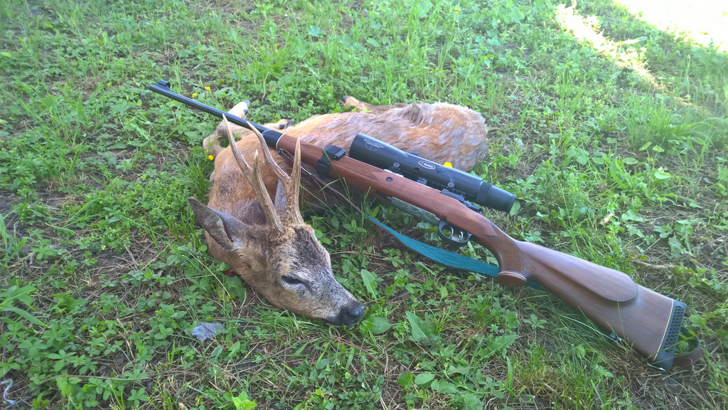 Мирослав Гавриловић из Тополе, 13.мај 2015.године