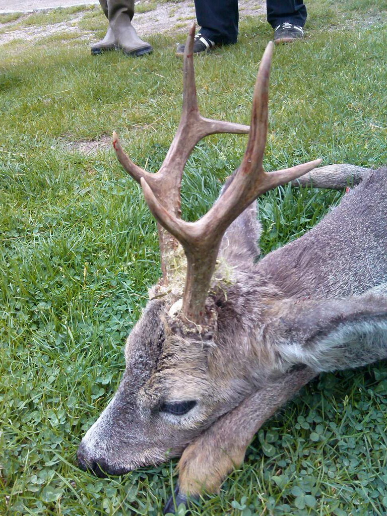 Јован Јовановић из Аранђеловца, 18. април 2015.године