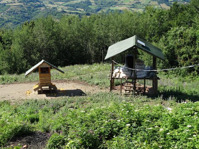 Репро центар "Звезда"